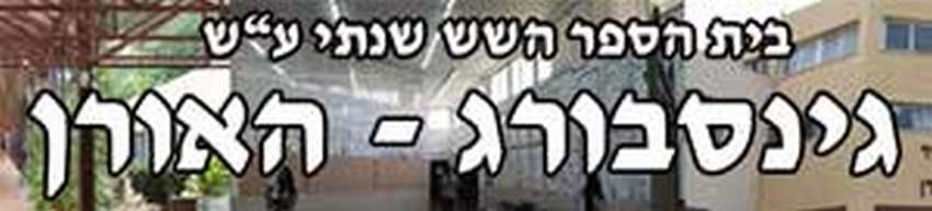 אורט גינסבורג האורן