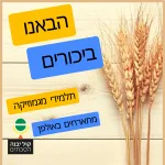 קול יבנה - הסכתים קול יבנה - הסכתים
